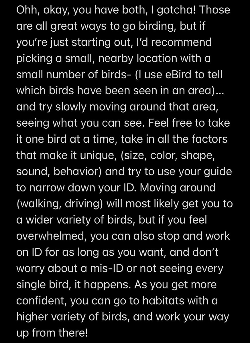 eucalyptus twink tweet media