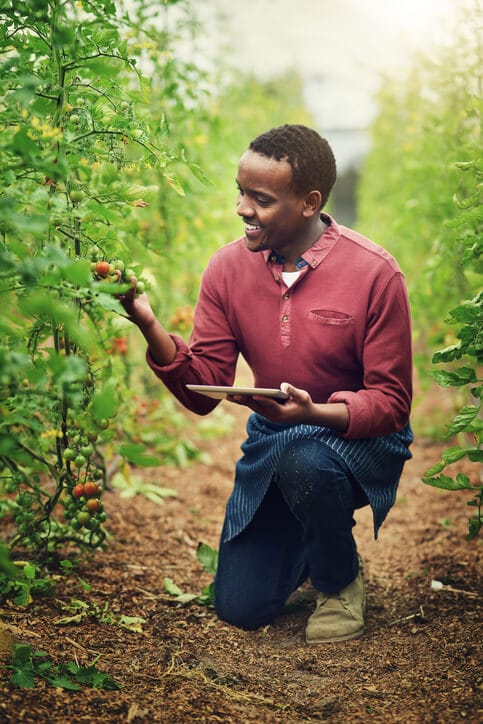 Tafadzwa Donald Chidoori 🇿🇼🇺🇬 (@donaldtchidoori) on Twitter photo #Thread
Top 10 #Annual Accelerator Programs Young agri-preneurs in Africa can apply for!
#foodtech #agtech
<a href="/BaseraJohn/">John Basera</a> #Thread
Top 10 #Annual Accelerator Programs Young agri-preneurs in Africa can apply for!
#foodtech #agtech
<a href="/BaseraJohn/">John Basera</a>