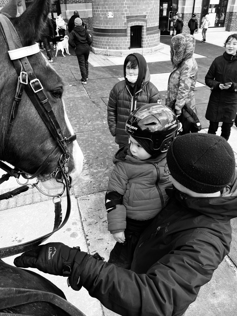 TPSMounted's tweet photo. #PHQueen meeting new friends in Colonel Samuel Smith Park for the ‘Skate with a Cop’ event #22Division #bigmeetssmall #gentlegiant #mounted #policehorse #nicetomeetyou #torontopolice #community #familyday #weekend https://t.co/ebA1IoL4VT