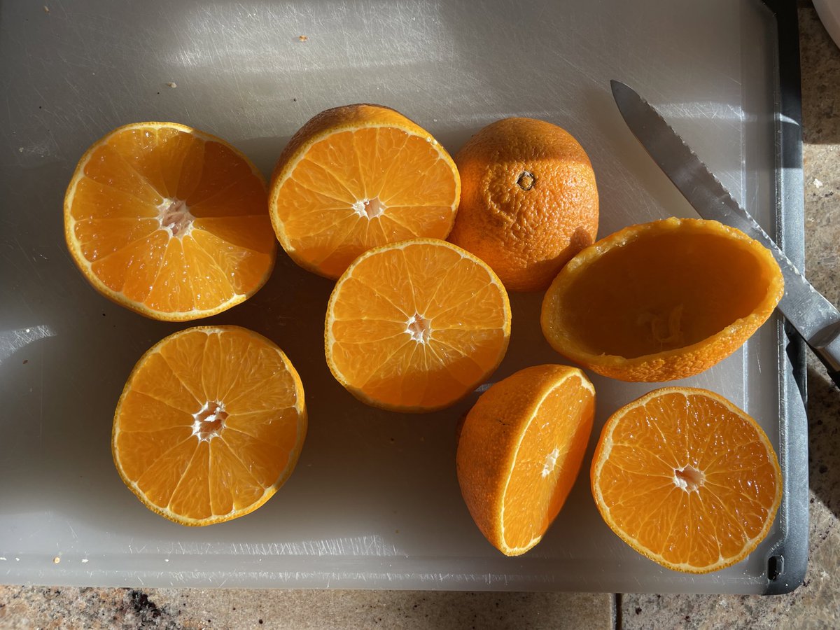 davidsprunt's tweet photo. @danacarvey Fresh honeybell orange juice https://t.co/ejh4e7Obrr