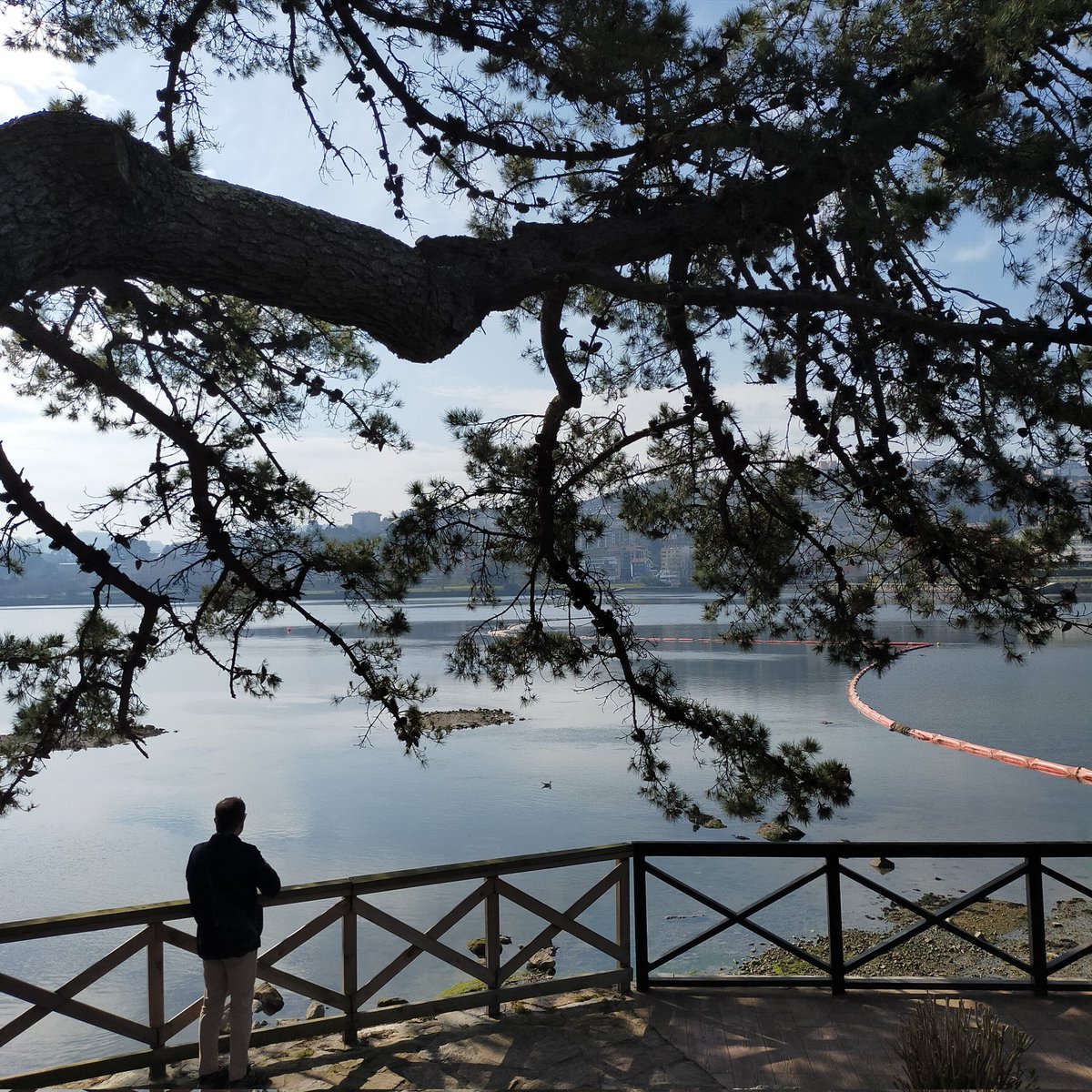 carmen3888's tweet photo. Paseo marítimo #Oleiros #OBurgo #Coruña hoy al mediodía https://t.co/l1n2tDB2j5