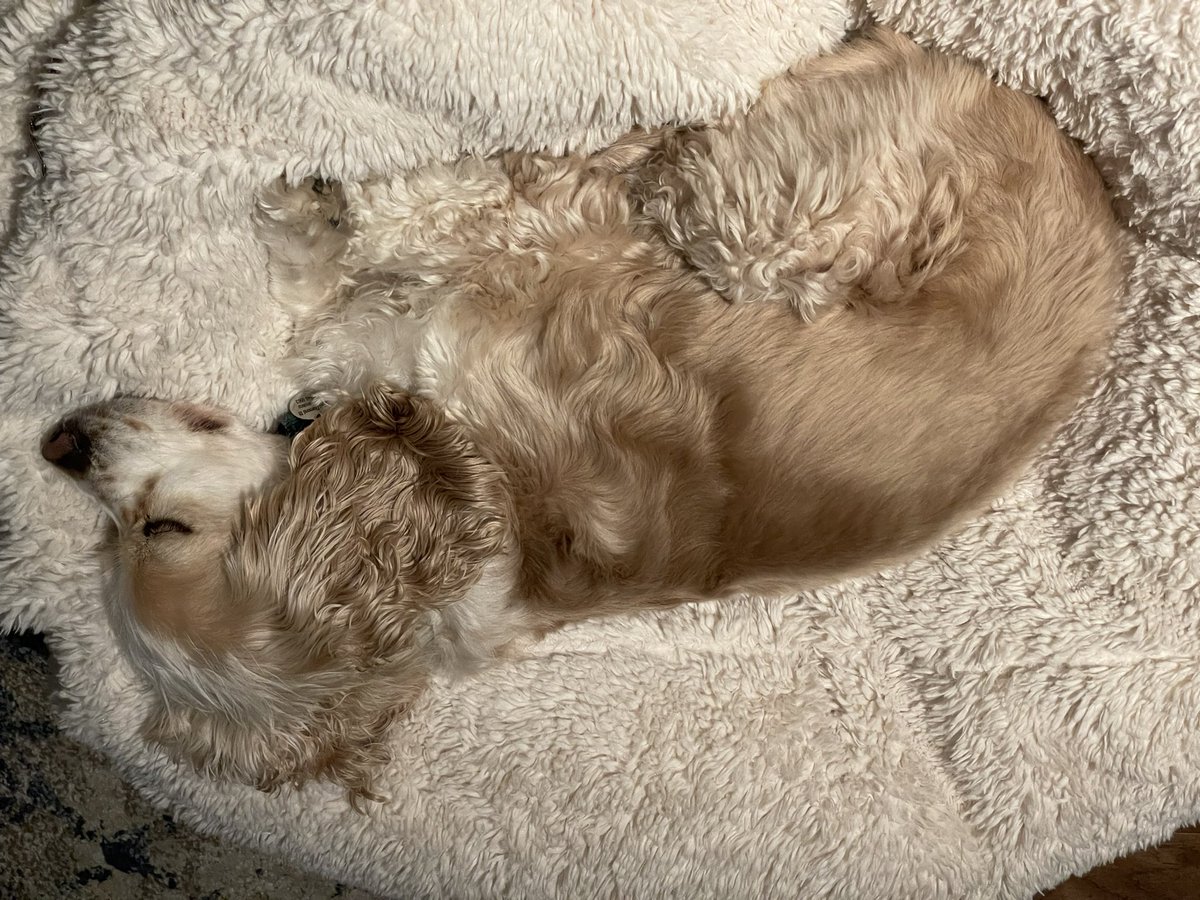 David Prince tweet media