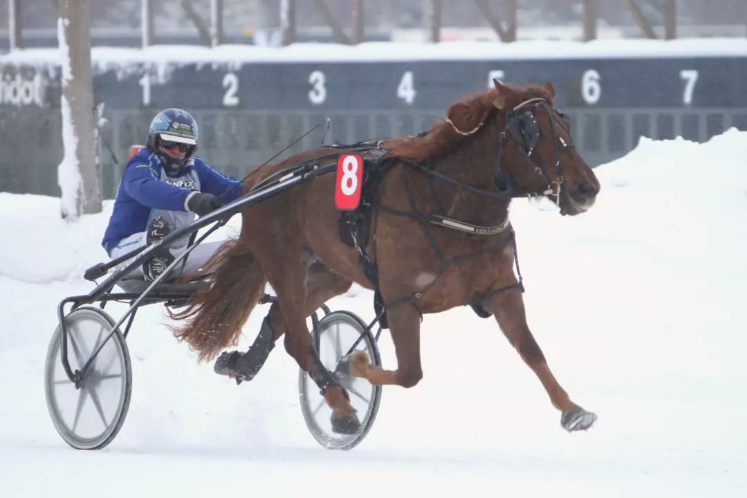 Toisen lähdön voittajaksi saatiin savonlinnalainen Pirttilän Sampo. Jarmo Saarela ohjasti Kalevi Kupiaisen valmentamaa oritta. K&amp;J Snowberry Oy on omistaja. #ravit #lappeenravit #lappeenravirata