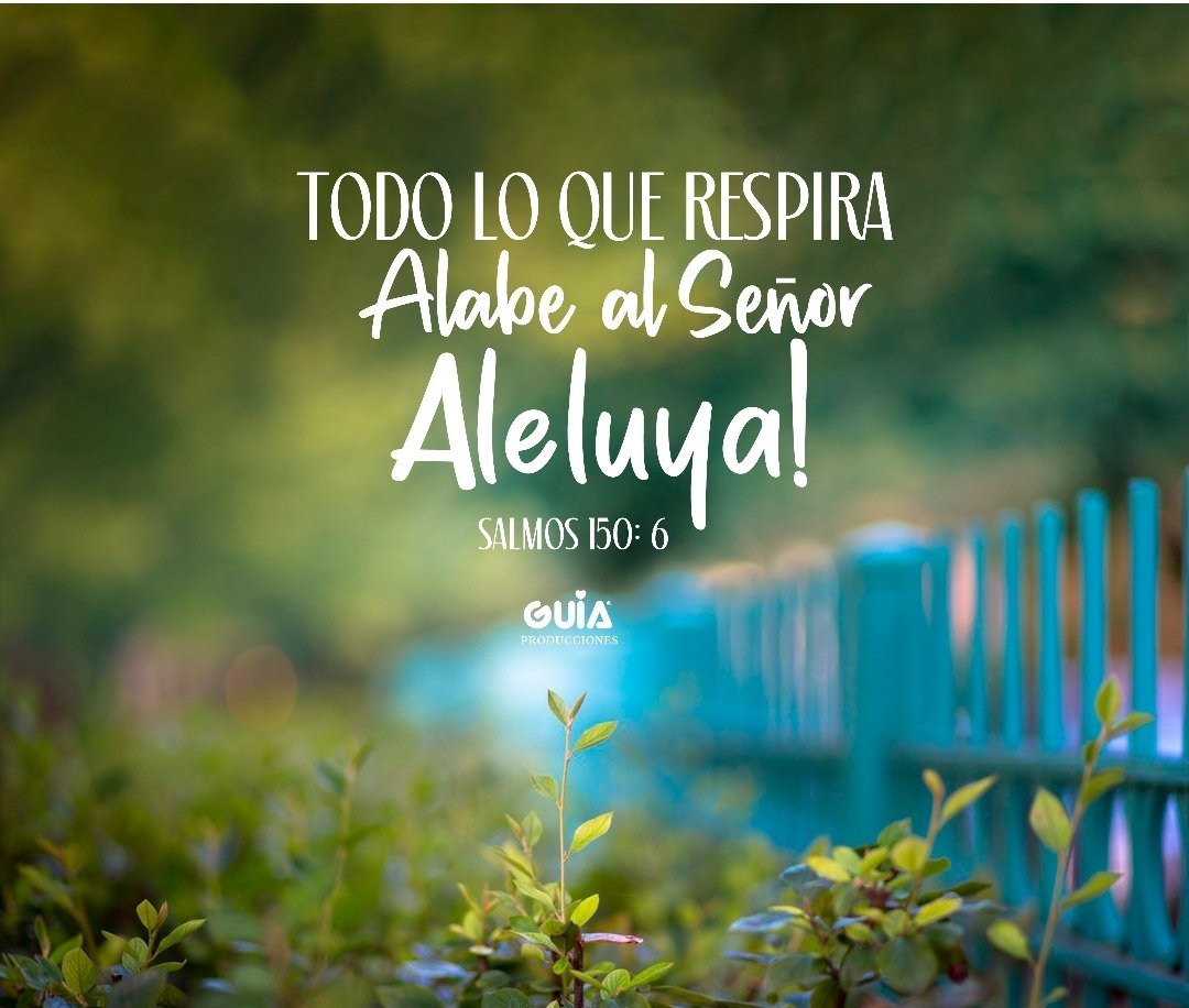 josefelixcar77's tweet photo. ¡Alaben a nuestro Dios! ¡Inclínense a adorarlo! ¡No hay otro Dios!
"Y así fue preparado todo el servicio del Señor para festejar la pascua!" 
#2Cron.35:16
#PrimeroDios
#Rpsp
#Biblia https://t.co/3rcASpgn6g