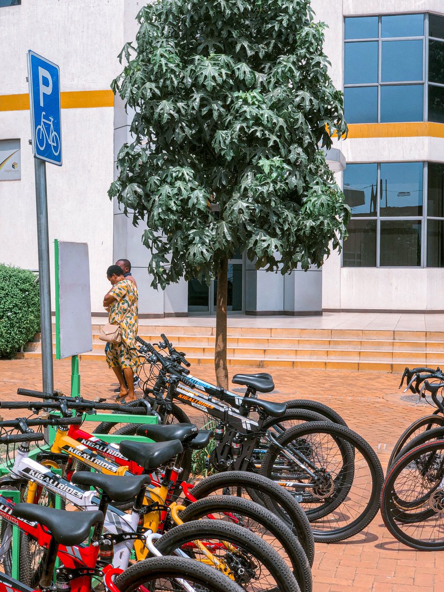 Kigali Rides (@kigalirides) on Twitter photo En partenariat avec <a href="/ambafrancerwa/">Ambassade de France au Rwanda 🇫🇷🇪🇺</a> <a href="/TeamTotalEnrg/">Team TotalEnergies</a> , <a href="/cyclingrwanda/">𝙁𝙀𝙍𝙒𝘼𝘾𝙔</a> <a href="/UCI_cycling/">UCI</a> , <a href="/Rwanda_Sports/">Ministry of Sports|Rwanda</a>, <a href="/KigaliRides/">Kigali Rides</a> a participé à un événement #jaimelevelo.
Un nombre d'enfants ont fait du vélo pour la première fois et ils ont fini par participer à la course 🤩!
#TourDuRwanda2023 En partenariat avec <a href="/ambafrancerwa/">Ambassade de France au Rwanda 🇫🇷🇪🇺</a> <a href="/TeamTotalEnrg/">Team TotalEnergies</a> , <a href="/cyclingrwanda/">𝙁𝙀𝙍𝙒𝘼𝘾𝙔</a> <a href="/UCI_cycling/">UCI</a> , <a href="/Rwanda_Sports/">Ministry of Sports|Rwanda</a>, <a href="/KigaliRides/">Kigali Rides</a> a participé à un événement #jaimelevelo.
Un nombre d'enfants ont fait du vélo pour la première fois et ils ont fini par participer à la course 🤩!
#TourDuRwanda2023
