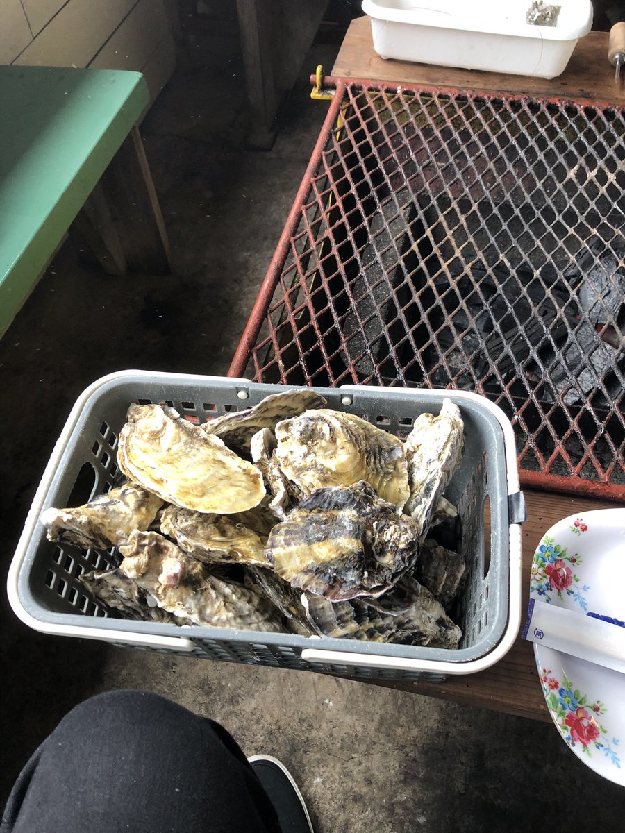 AtushiBb's tweet photo. この時期の小長井牡蠣は身が詰まってて最高だった（食べるのに夢中で写真撮ったの最初だけ） https://t.co/NZzw3w1F2o