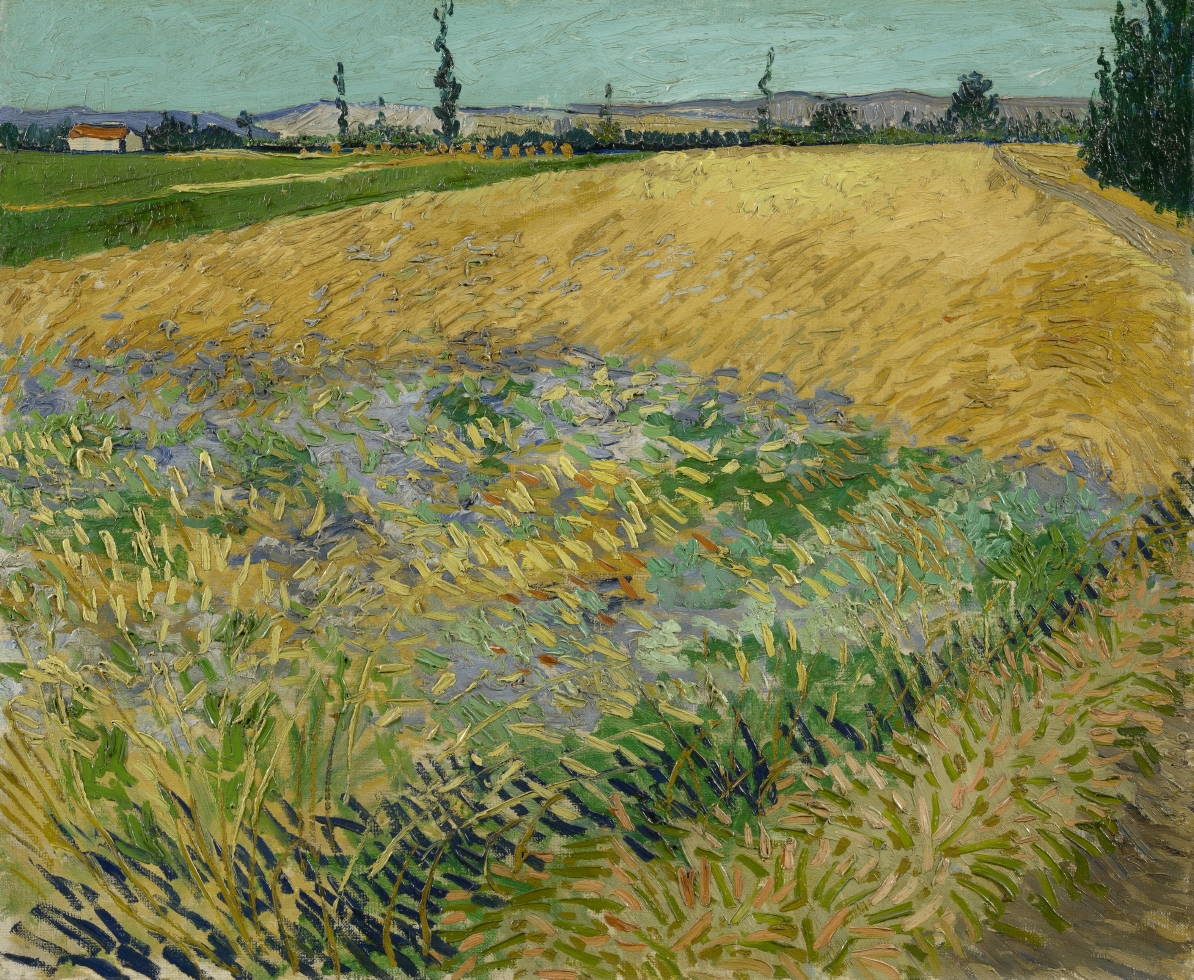 vangoghmuseum's tweet photo. Under the blazing sun, his easel fixed into the ground with an iron peg, in the middle of the wheatfields surrounding Arles. The horizon is very high; was Vincent sitting on a low stool? Or on his knees? 

🌻 Vincent van Gogh, Wheatfield (1888) https://t.co/7pftBNLI2u
