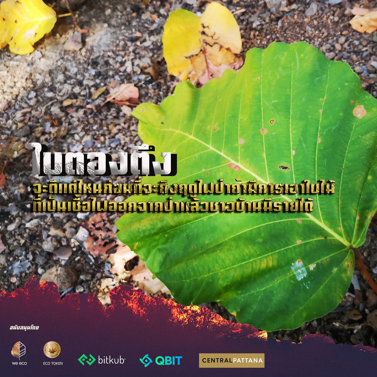 ihackdev tweet picture