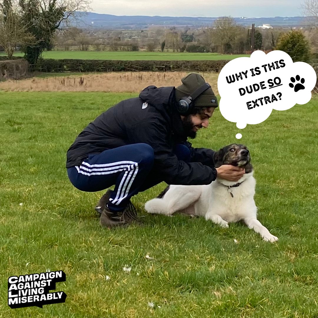 Jay Mistry tweet media