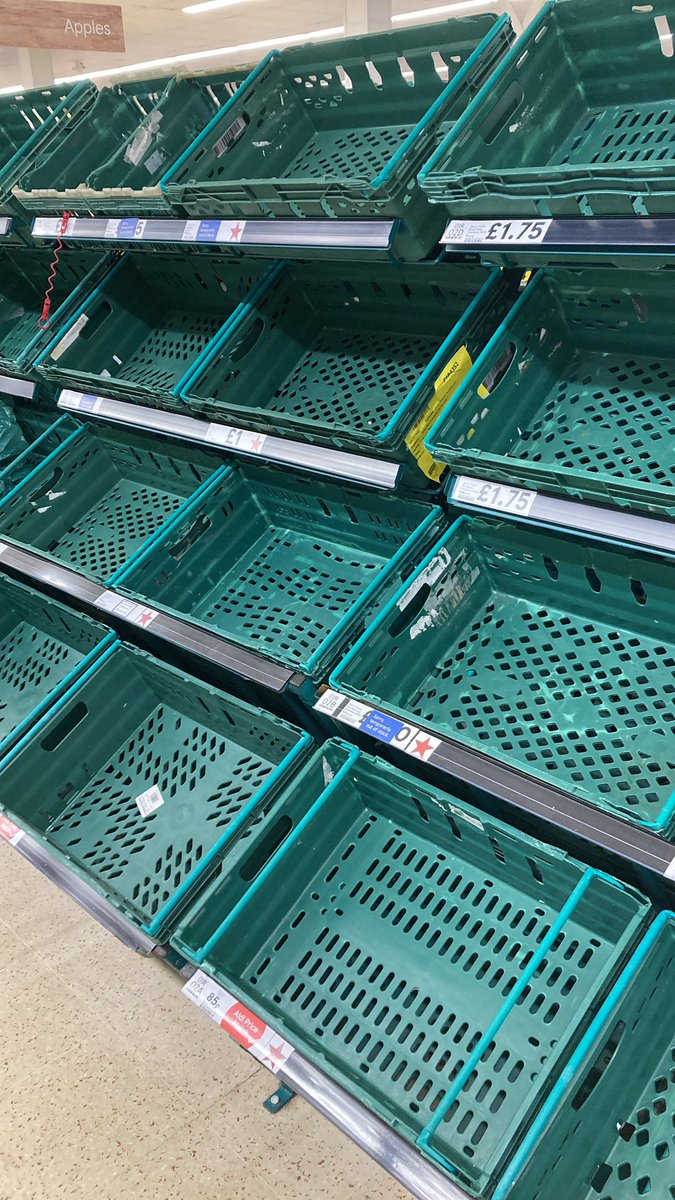 Adam Shorey tweet media