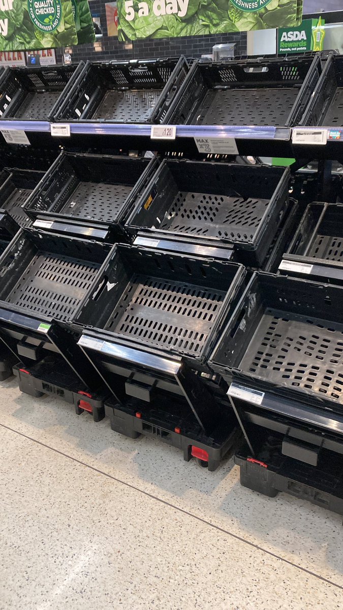 Adam Shorey tweet media