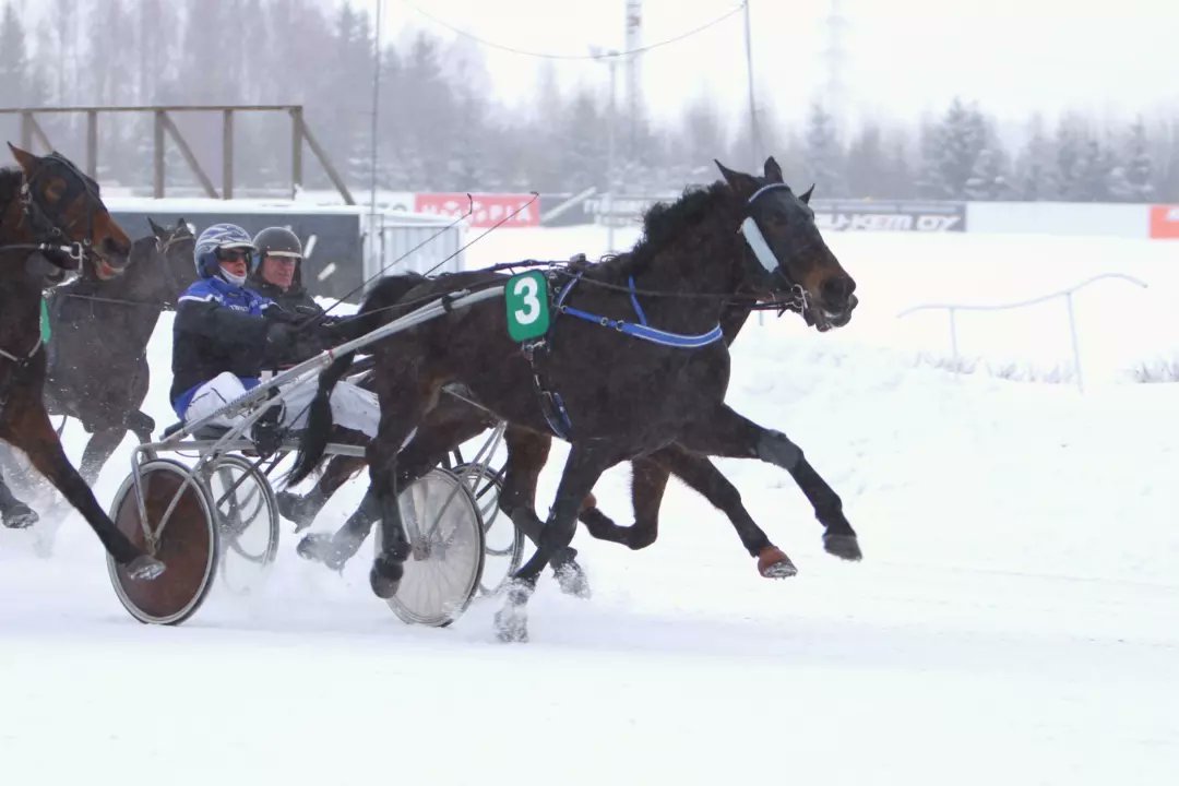 Ensimmäisen T4-kohteen, Ratsastuskoulu Synergian nimikkolähdön vei Leemark's Jagger ja Ville Tonttila. Terhi Vanhala valmentaa Leena Hanskin omistamaa oritta. #ravit #lappeenravit #lappeenravirata