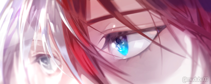 todoroki shouto split-color hair red hair blue eyes close-up eye focus hair between eyes scar on face  illustration images