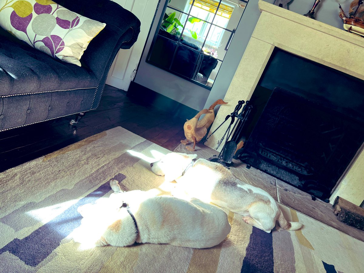 Robert_Rees28's tweet photo. A comparably quiet Sunday. 7am gym. 10am @stmarysmich and later (at 6pm) St James Woodmancote, for the Feast of the Transfiguration. For all in between times I’ll be on the sofa basking in the dogs basking in the sun. #rest #sundayvibes #everythingischanged #ruralministry https://t.co/DeqxAxgmjk