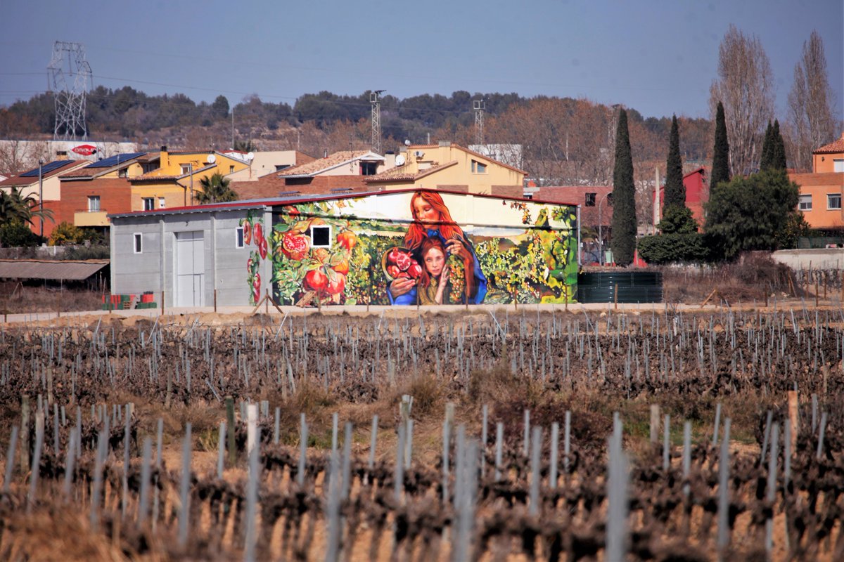 Maria Rosa Ferré Galimany 🌸 tweet media