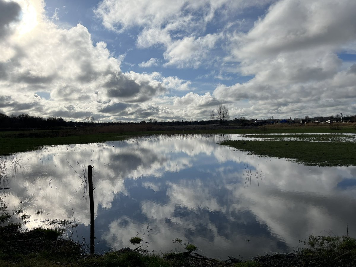 Mooie ochtend op de #Suikerzijde