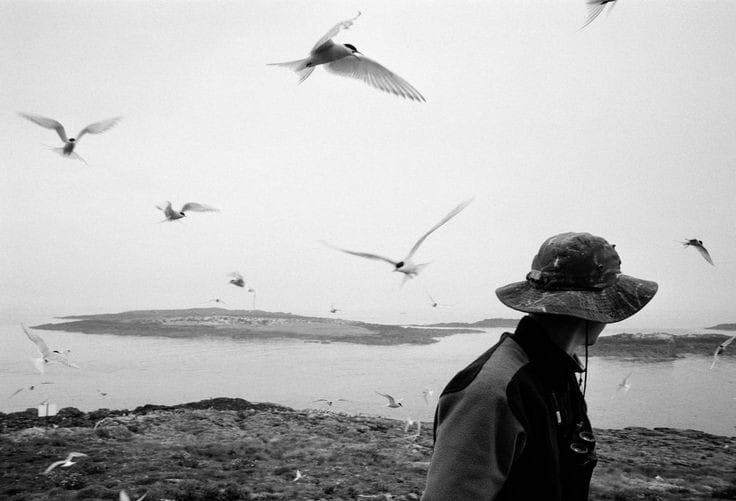 "He tomado una decisión: disfrutar de lo que tengo hasta que se me termine".
Patricia Highsmith
📷Stuart Franklin