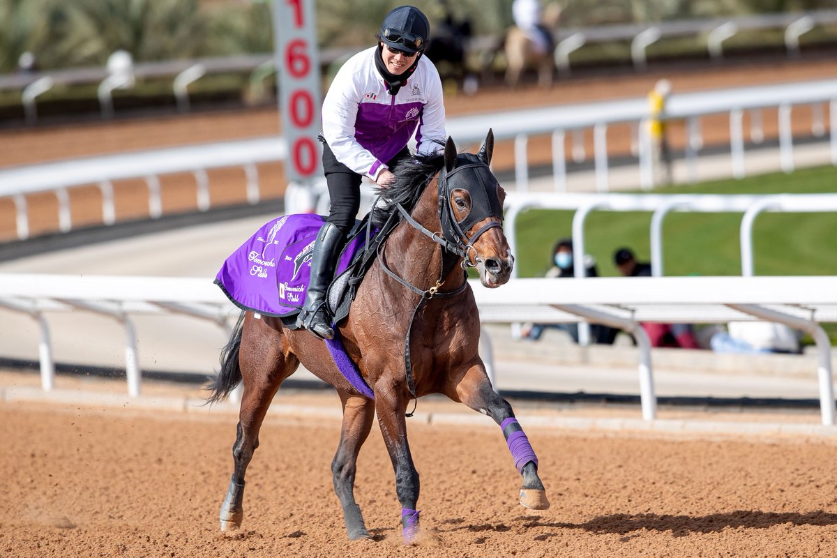 G1 Champions Cup winner JUN LIGHT BOLT at trackwork.

🇯🇵 #ジュンライトボルト

𝟮𝟰-𝟮𝟱 𝗙𝗲𝗯 | #TheSaudiCup #サウジカップ 🏆