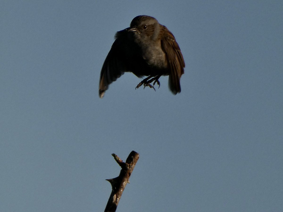 Jump op de #Suikerzijde