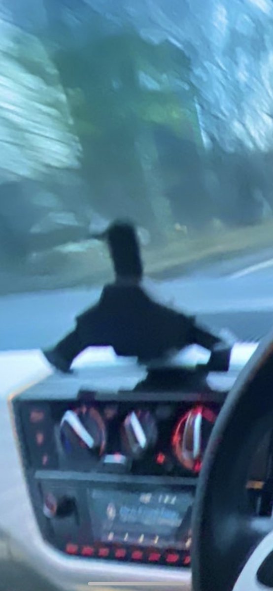 florencecraig tweet media