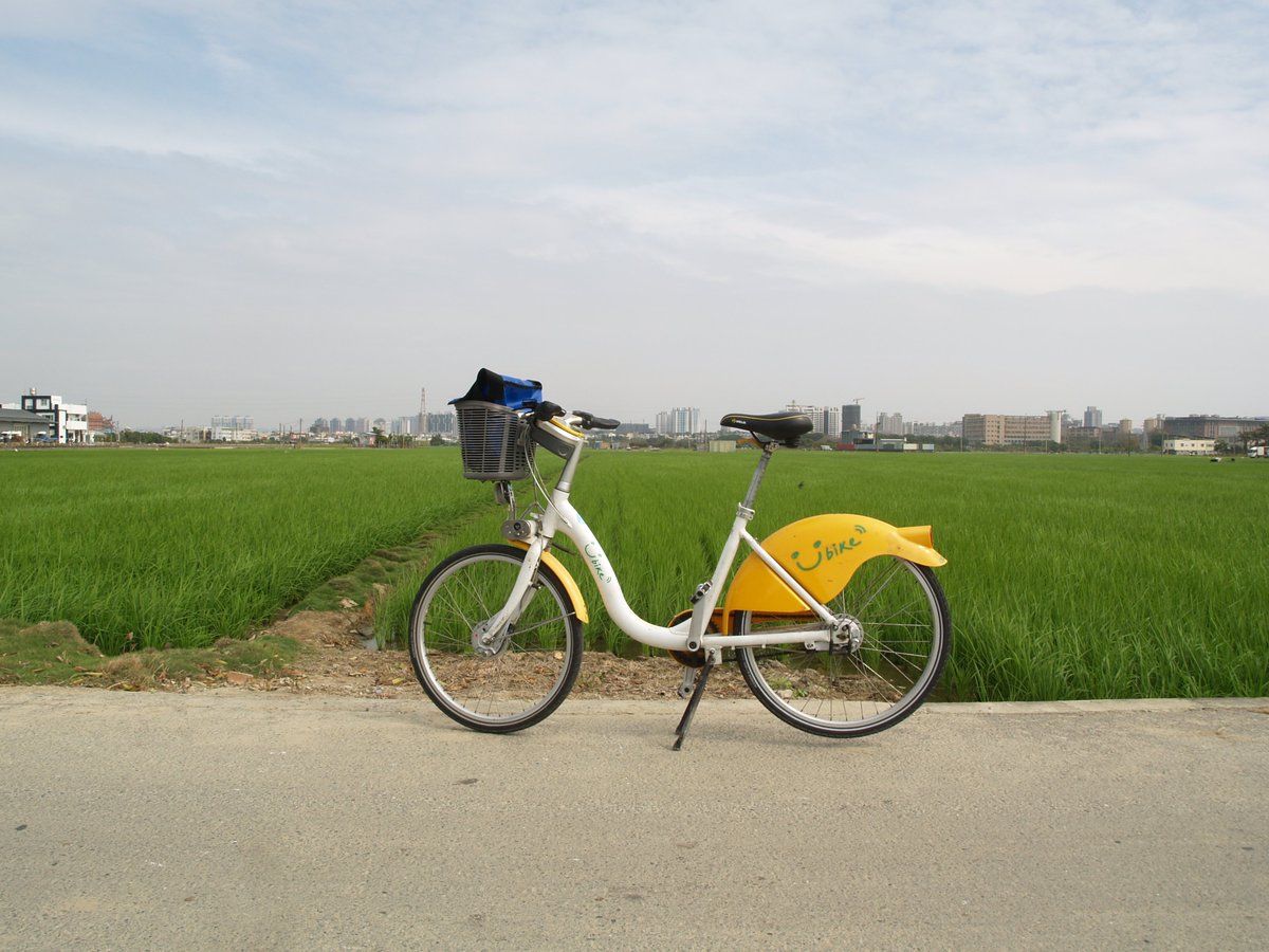 wmparker's tweet photo. Only took 10 minutes from my home to be surrounded by palm trees and rice fields.  #ridetaiwan #高雄 https://t.co/uItxetqU2C