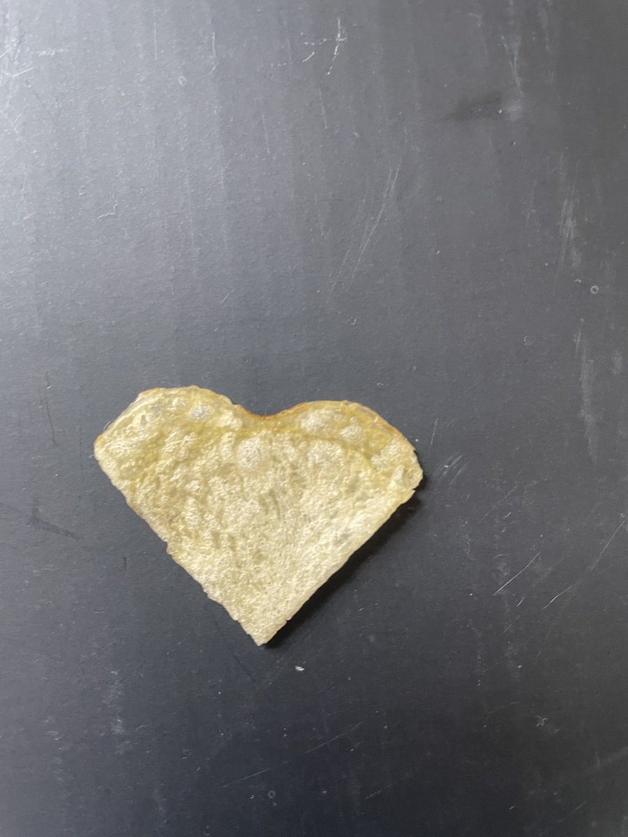 Rabbi Mendel Cohen tweet media