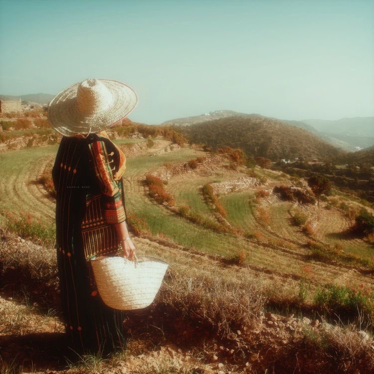 ₘₜₐᵦ tweet media