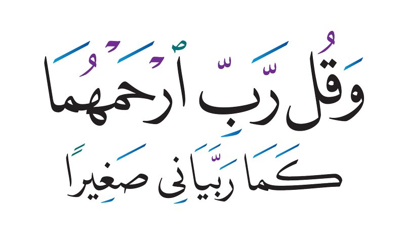 •
وَقُلْ رَبِّي ارْحَمْهُمَا كَمَا رَبَّيَانِي صَغِيرًا
•
اللهم ارحم والدي الحبيبين .. أغلى ما كنت أملك
الشهيد عبدالحميد الرفاعي ،، 
المرحومة حياة زايد الرفاعي ،،
•