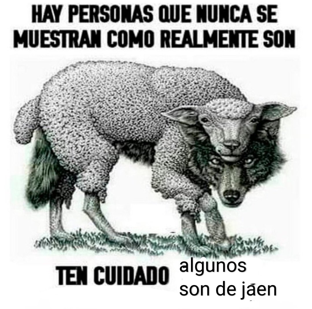 follacamiones24's tweet photo. https://t.co/6ZOjqlxpwD