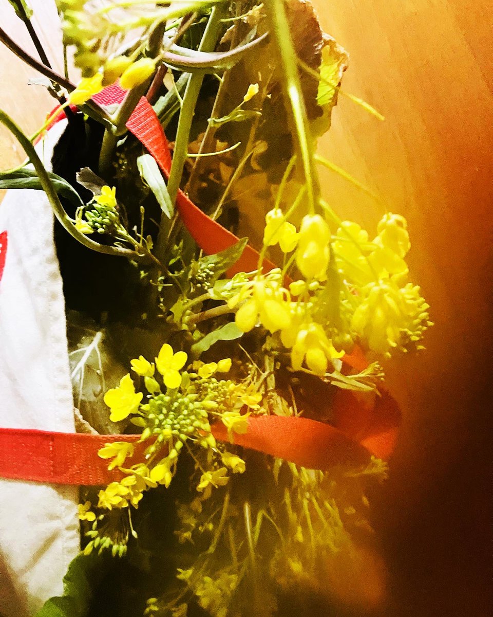 nakamuraayao's tweet photo. 休日の朝一人早起きしてパンこねて焼いている赤子…母ちゃん父ちゃんゴロゴロしている間に折角の休日が暮れそうなんでちょっと買い物出た帰りいつもの土手散歩、もう菜の花咲いてる…新ゲームゲットでホクホクの赤子…
#kidscooking #riverbank #hambread #breakfast #rapeblossoms #walking #evening https://t.co/Rozuto1oDb