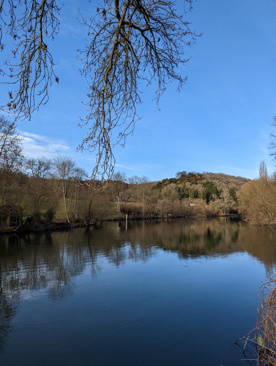 lcdavies_'s tweet photo. Making the most of the sunshine and that short window of time between nursery illnesses! #Oxfordshire #springtime https://t.co/GuTUOboO25