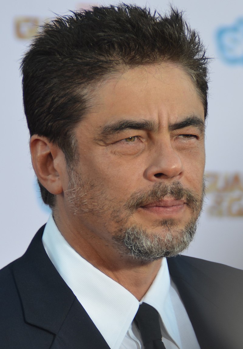Happy Birthday, Benicio del Toro ! 
