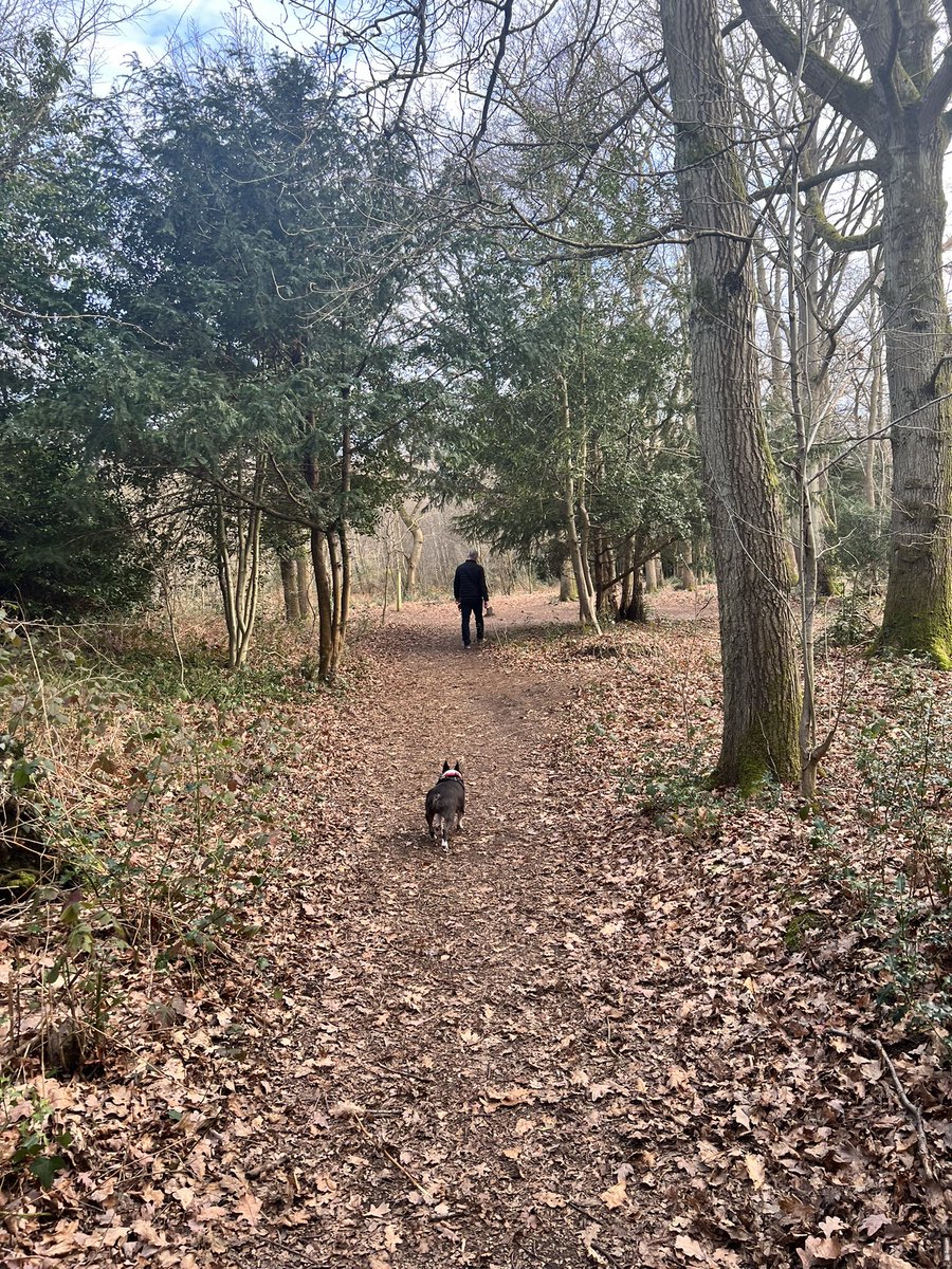 AyshaAwan's tweet photo. My #BeWellChallenge has been to go for early morning walks with my two loves. It’s good for my physical and #mentalhealth

Find out more about #BeWellChallenge https://t.co/TsA4oqRnN9… https://t.co/ugotXFQB7A