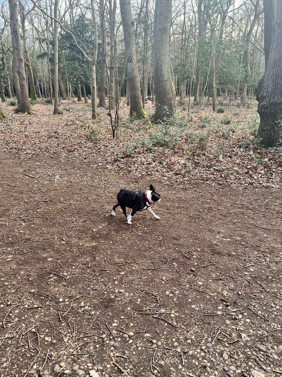 AyshaAwan's tweet photo. My #BeWellChallenge has been to go for early morning walks with my two loves. It’s good for my physical and #mentalhealth

Find out more about #BeWellChallenge https://t.co/TsA4oqRnN9… https://t.co/ugotXFQB7A