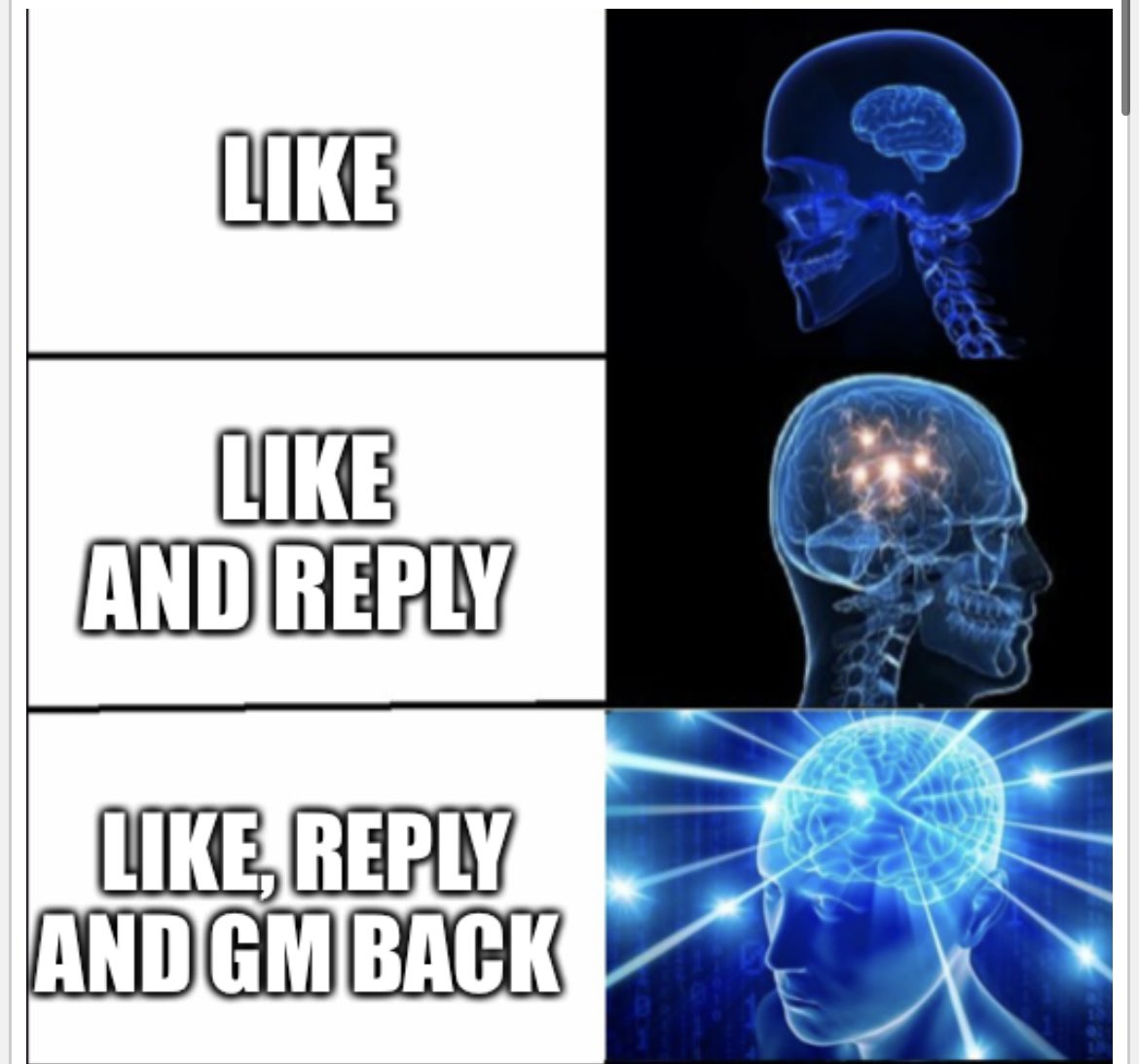 2kobe_'s tweet image. GM web 3 friends☀️☕️🫶🏻