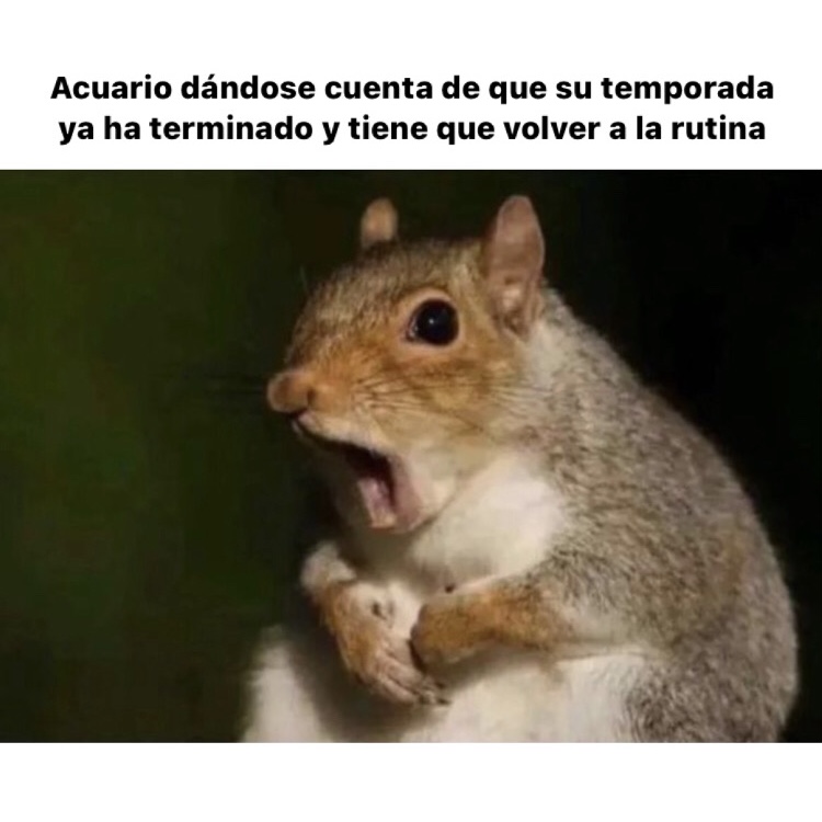 🤣🤣🤣 #acuario #horoscoponegro