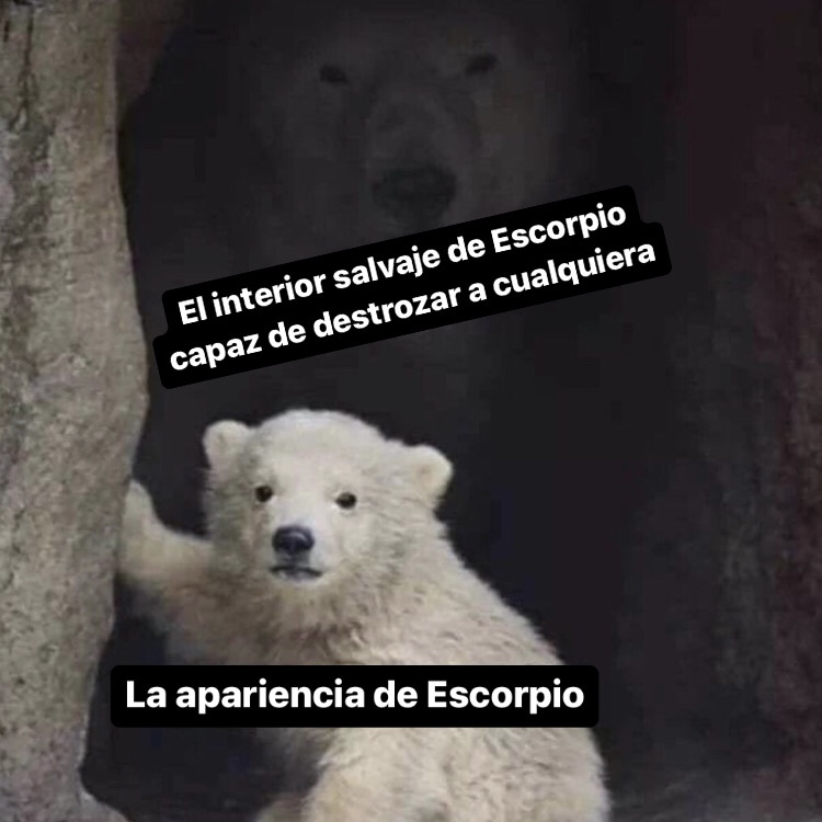 🤣🤣🤣 #escorpio #horoscoponegro