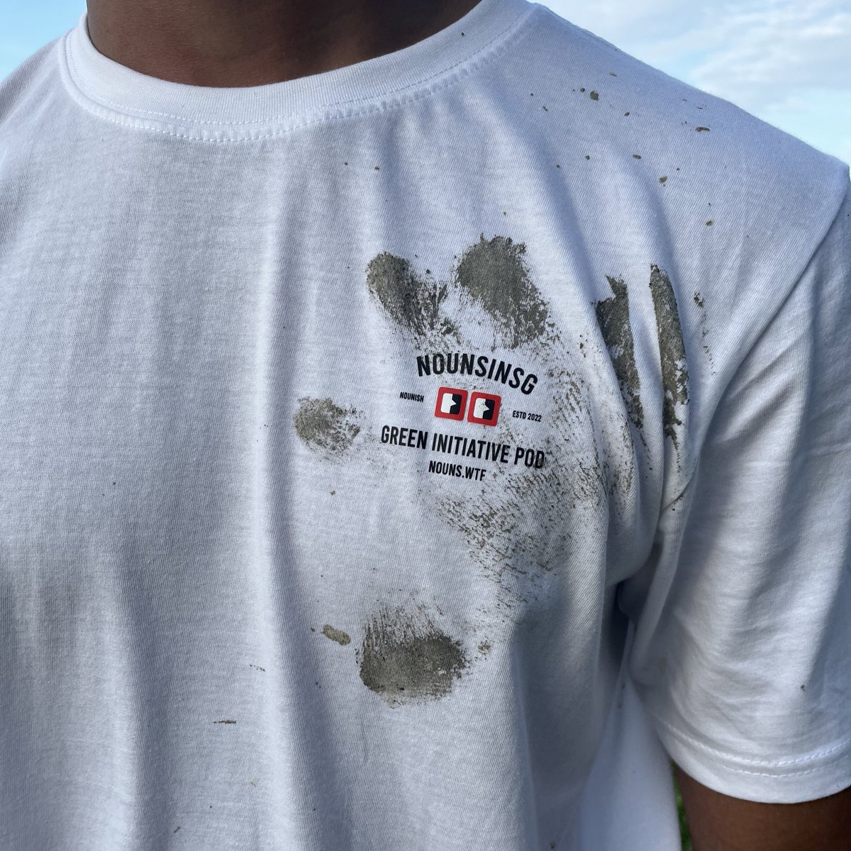 NOUNSINSG ⌐◨-◨ tweet media