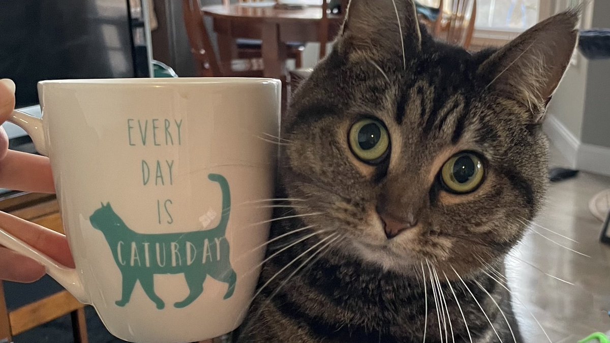 Jenni🟧 tweet media