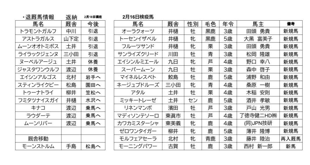 マイネルレスペトくんが鮫島先生のところへ🏇 