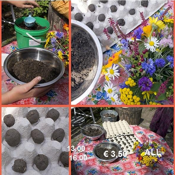 Zaadbommen maken 03-03-2023
Vrolijk je straat of buurt op én help de bijen en andere insecten! Kom in de vakantie bij ons zaadbommen maken van klei, aarde en inheems bloemenzaad!

Kosten € 3,50
Begintijd 10:00
Eindtijd 16:00