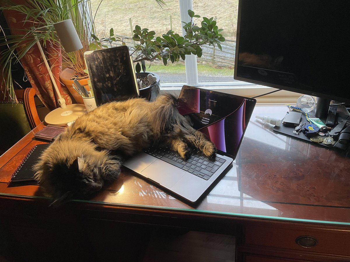 Lars Wilderäng tweet media