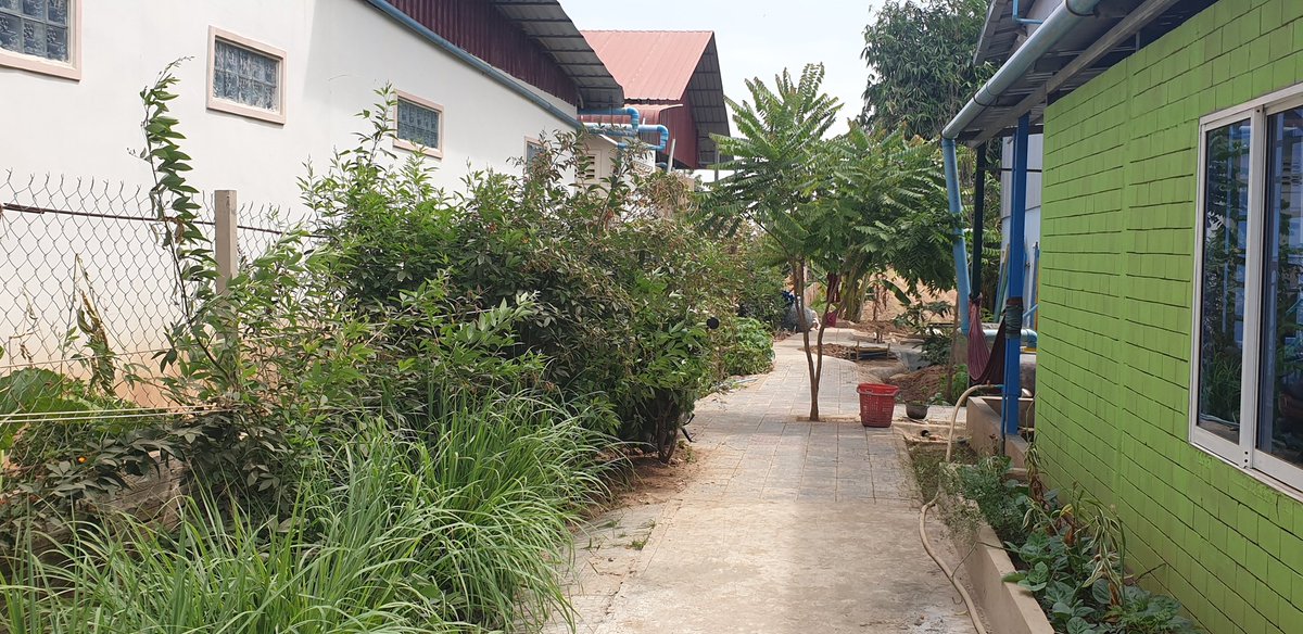 @sellieyoung Thanks Ellie
Here is the entrance to the learning centre with lots of pigeon pea and other edible plants.
We look forward to doing so much more with our #regenerative founders in the future.