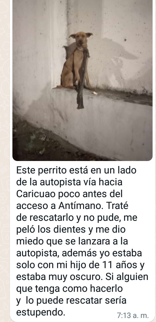 Buen dua, difundo, información vía Whatsapp 🙏🙏🙏 quien pueda agarrarlo😌 atención angeles de la autopista 😌 🙏🙏
