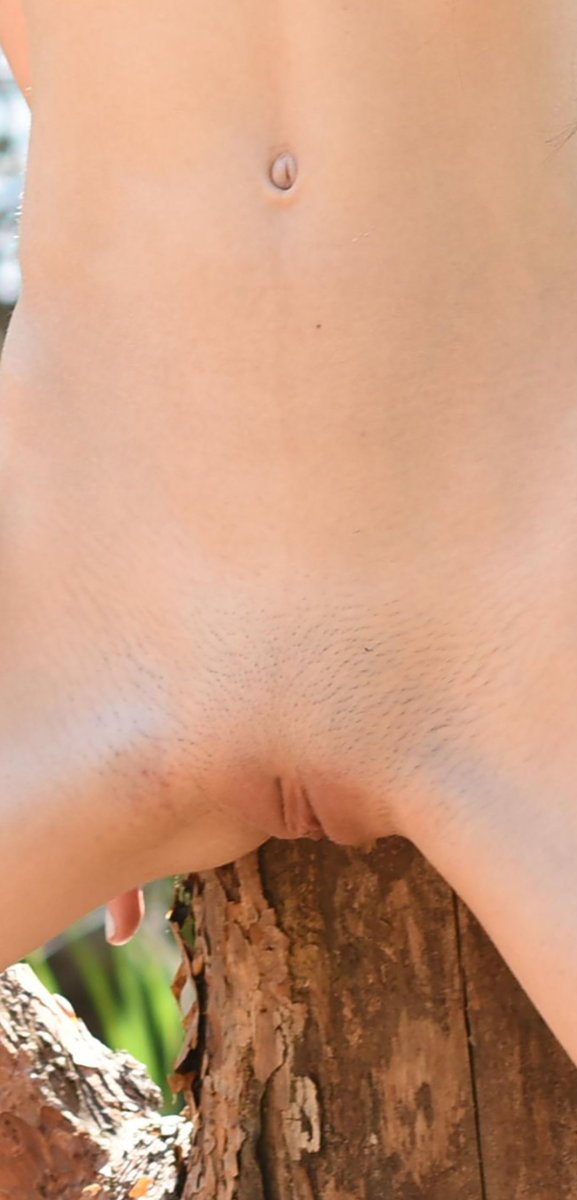 SergeantMr2's tweet photo. @LTaressa Delicious pussy. I love the fuzz! 🥰 https://t.co/GX6wApBICZ