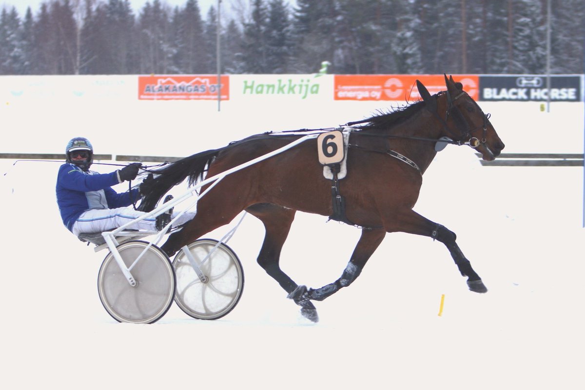 Make A Wish H.C. toi Jarmo Saarelalle päivän neljännen voiton Kengityspalvelu S. Pöllänen Oy:n nimikkolähdössä! Marko Lavi valmentaa Kirsi Ellosen omistamaa ruunaa. #ravit #lappeenravit #lappeenravirata