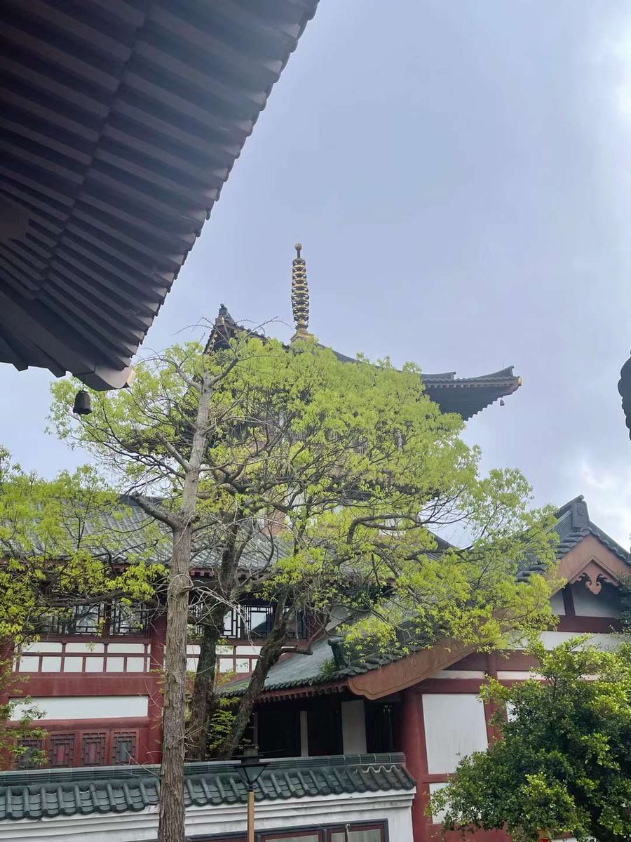 Jennifer Nunn tweet media