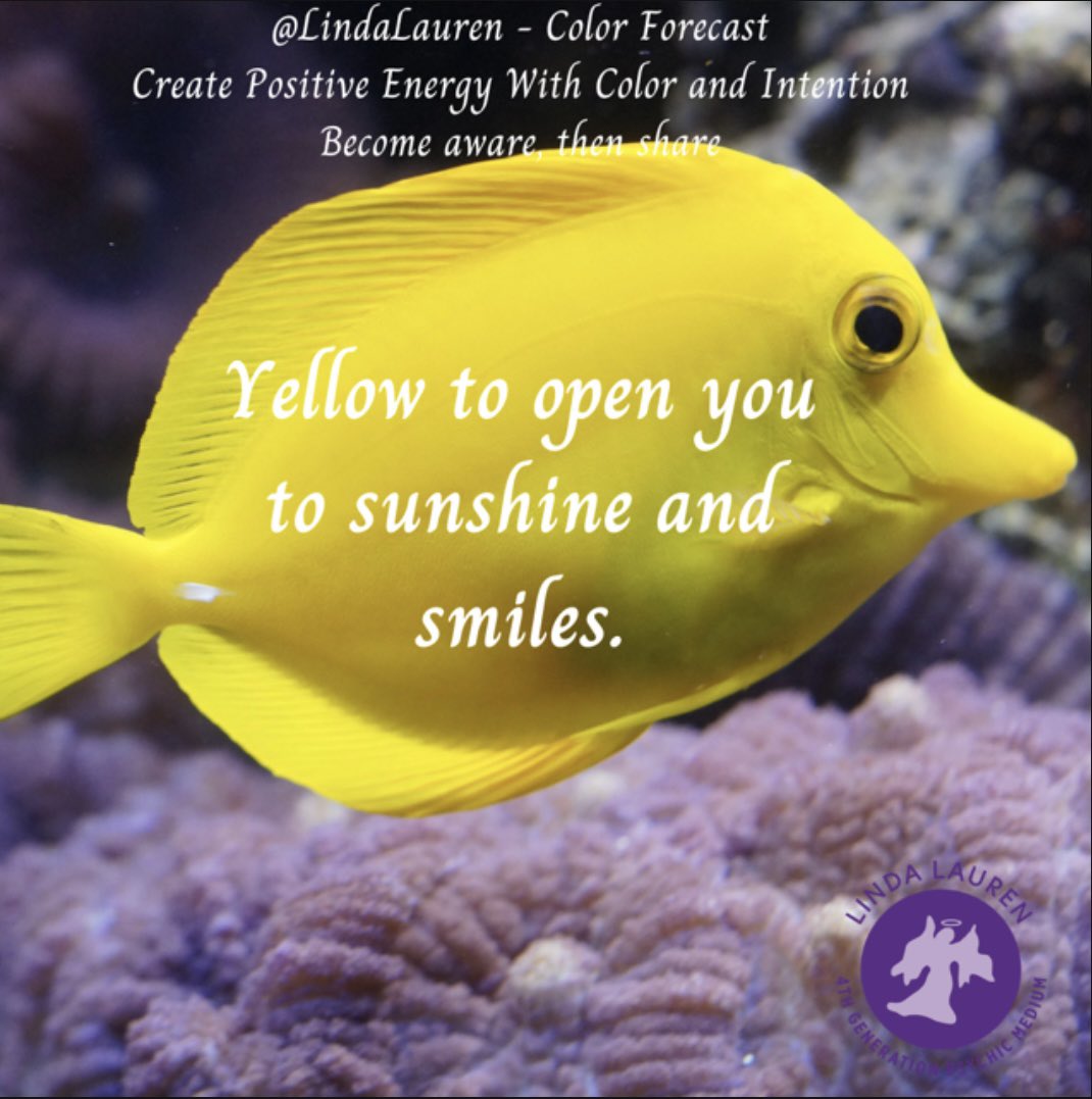 LindaLauren's tweet photo. π» Yellow for sunshine βοΈ and smiles!
#colorforecast #lindalaurenscolorforecast #lindalauren #llcf https://t.co/KmQnjJOsgG