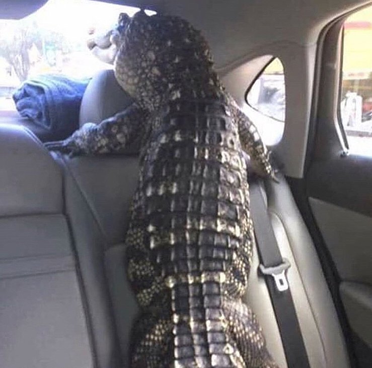 where are they going