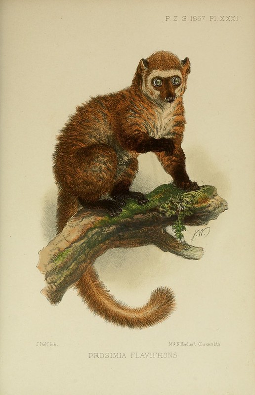 Proceedings of the Zoological Society of London. London. Academic Press, 1833-1965.